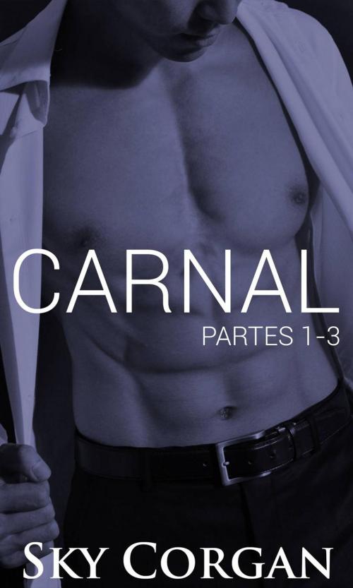 Cover of the book Carnal: Partes 1-3 by Sky Corgan, Babelcube