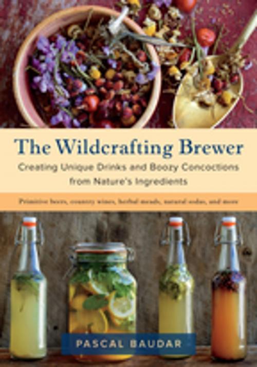 Cover of the book The Wildcrafting Brewer by Pascal Baudar, Chelsea Green Publishing