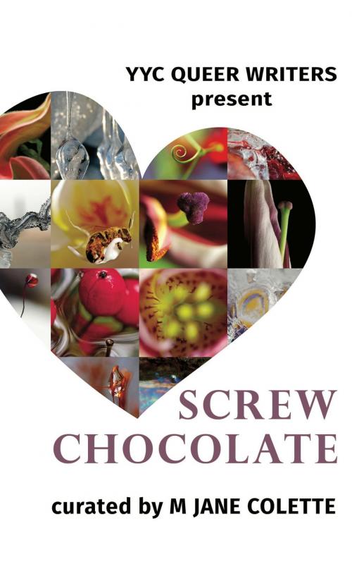 Cover of the book Screw Chocolate by M. Jane Colette, Jennifer Weihmann, Dallas Barnes, L. Sara Bysterveld, Lotis Cervantes, Marzena Czarnecka, Elisa Kae, Alyssa Linn Palmer, Brooke Nicholas, Nola Sarina, Dana Stan, PW Zellie, GENRES were made to be BROKEN / YYC Queer Writers