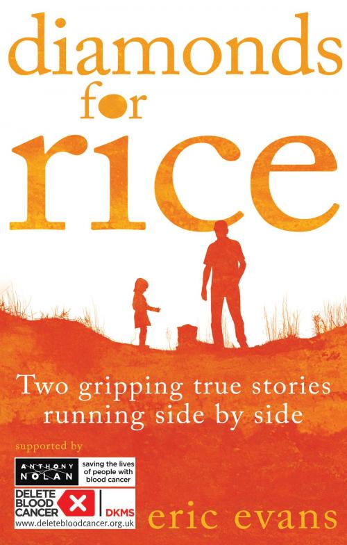 Cover of the book Diamonds for Rice by Eric Evans, Troubador Publishing Ltd