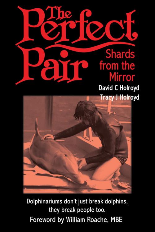 Cover of the book The Perfect Pair by David C. Holroyd, Tracy J. Holroyd, Troubador Publishing Ltd