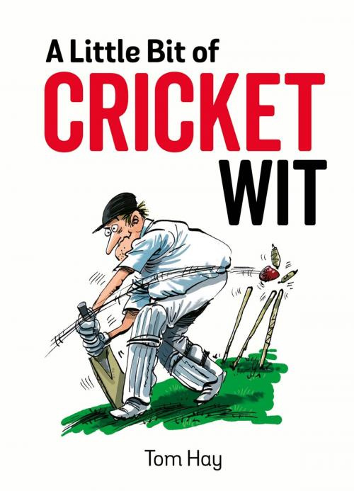 Cover of the book A Little Bit of Cricket Wit: Quips and Quotes for the Cricket-Obsessed by Tom Hay, Summersdale Publishers Ltd