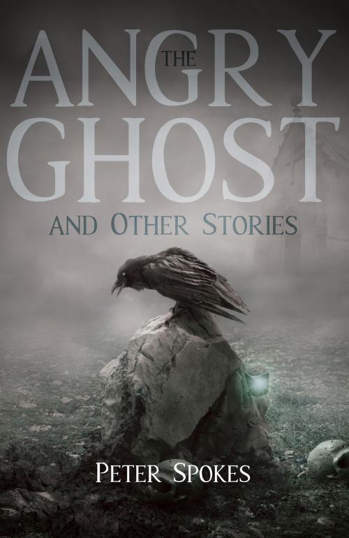 Cover of the book The Angry Ghost and Other Stories by Peter Spokes, Troubador Publishing Ltd