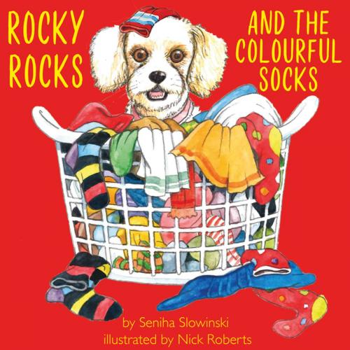 Cover of the book Rocky Rocks and the Colourful Socks by Seniha Slowinski, Clink Street Publishing