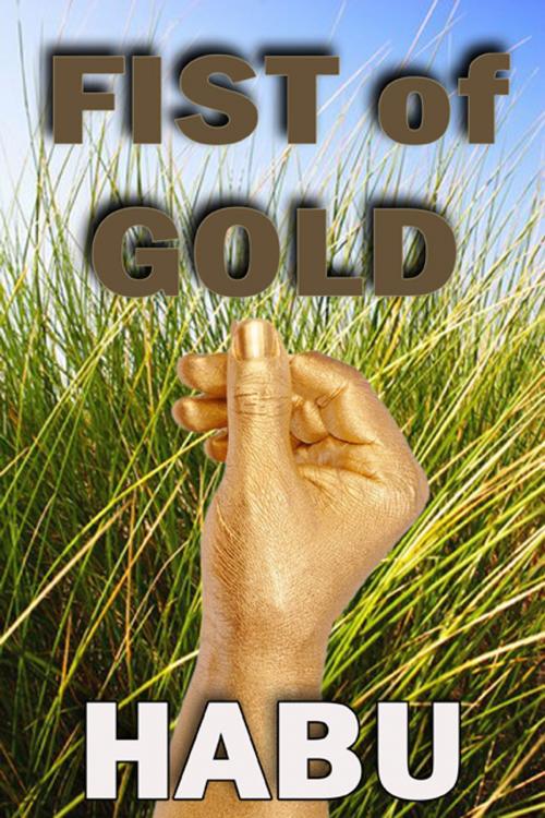 Cover of the book Fist of Gold by habu, BarbarianSpy