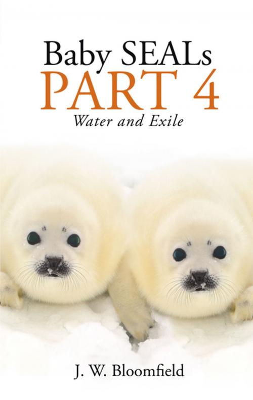 Cover of the book Baby Seals Part 4 by J.W. Bloomfield, WestBow Press