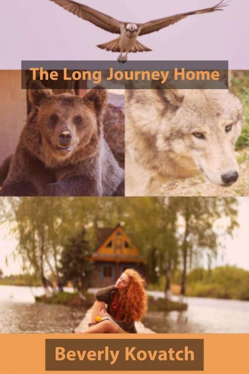 Cover of the book The Long Journey Home by Beverly Kovatch, Beverly Kovatch