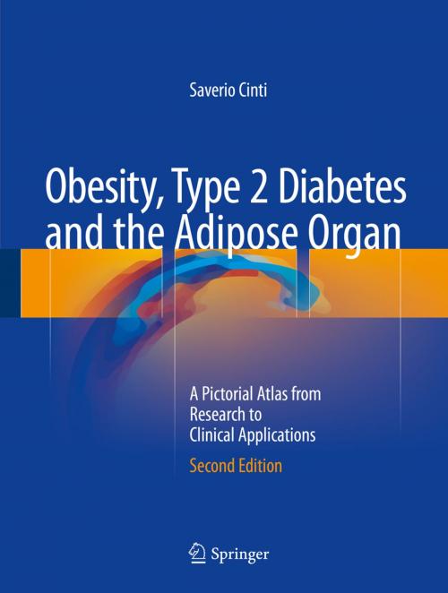 Cover of the book Obesity, Type 2 Diabetes and the Adipose Organ by Saverio Cinti, Springer International Publishing