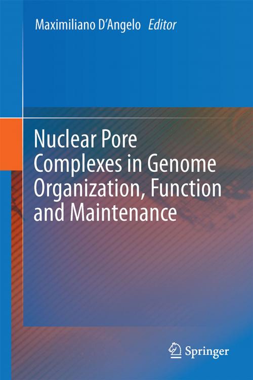 Cover of the book Nuclear Pore Complexes in Genome Organization, Function and Maintenance by , Springer International Publishing