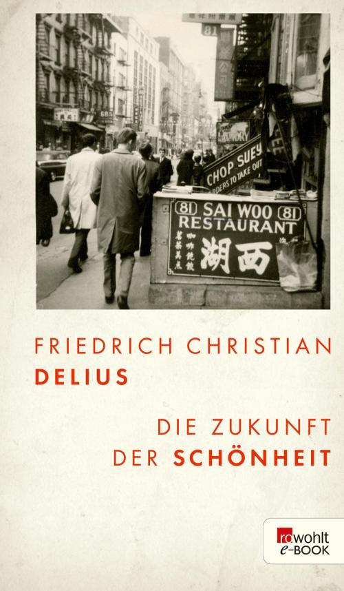 Cover of the book Die Zukunft der Schönheit by Friedrich Christian Delius, Rowohlt E-Book