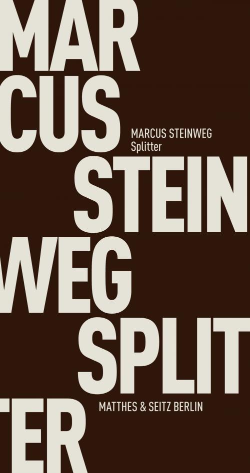 Cover of the book Splitter by Marcus Steinweg, Matthes & Seitz Berlin Verlag