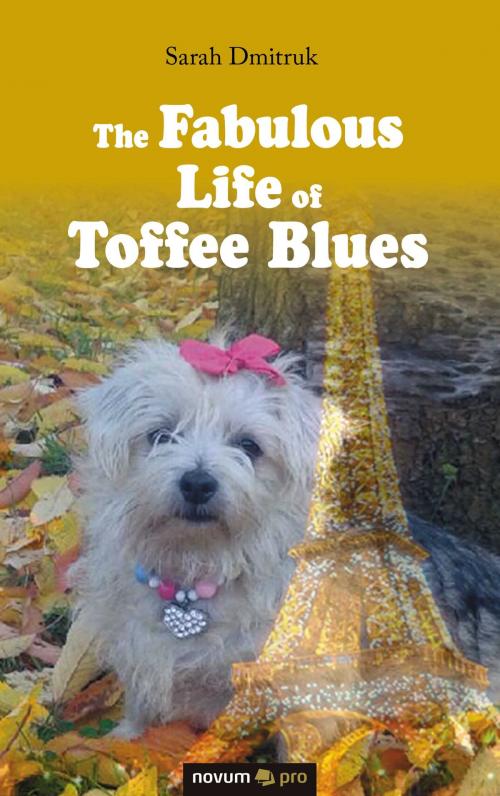 Cover of the book The Fabulous Life of Toffee Blues by Sarah Dmitruk, novum pro Verlag