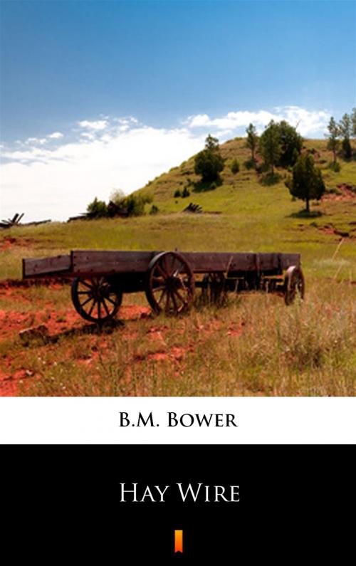 Cover of the book Hay Wire by B.M. Bower, Ktoczyta.pl