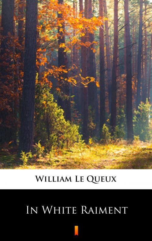 Cover of the book In White Raiment by William Le Queux, Ktoczyta.pl