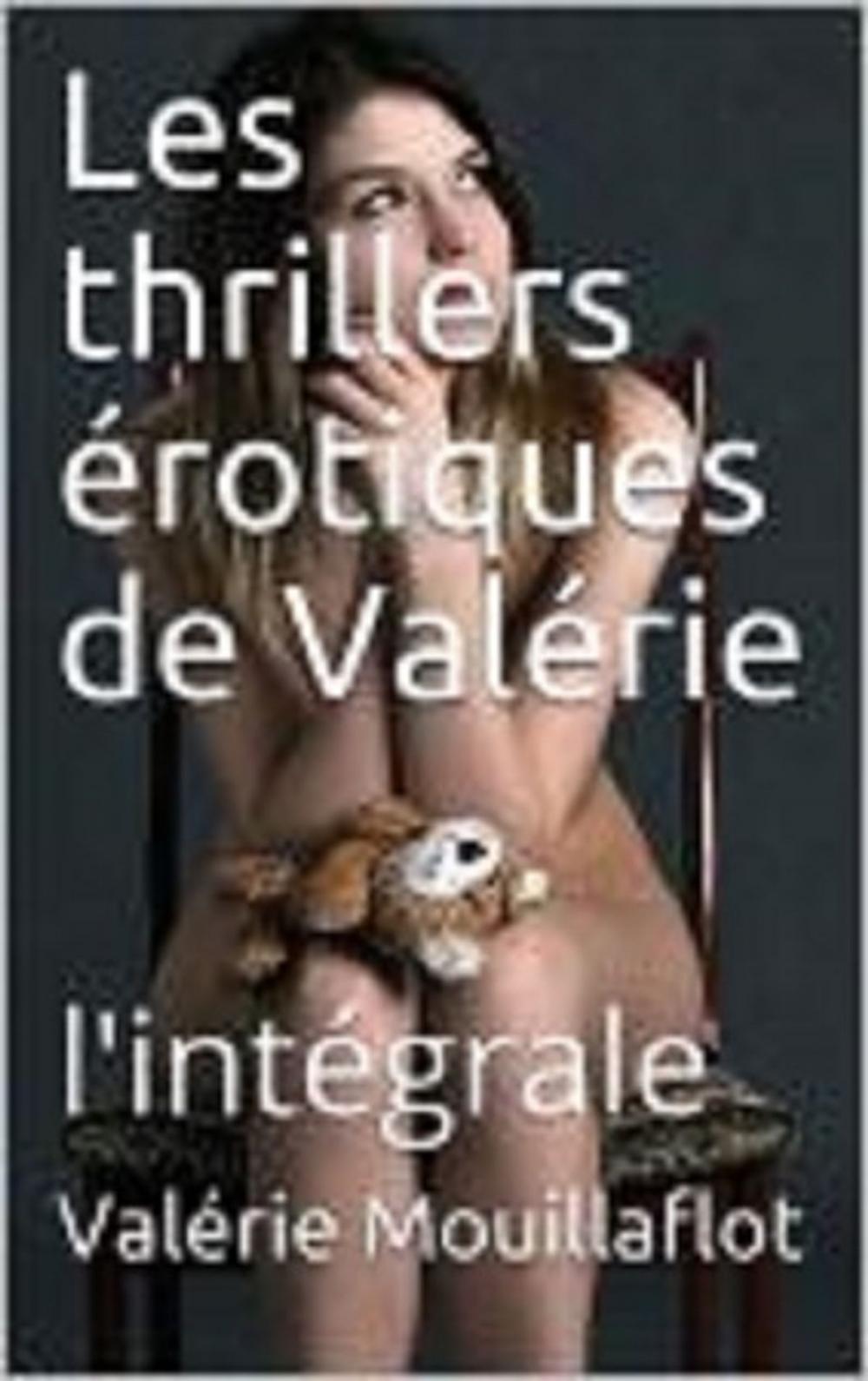 Big bigCover of Les thrillers érotiques de Valérie