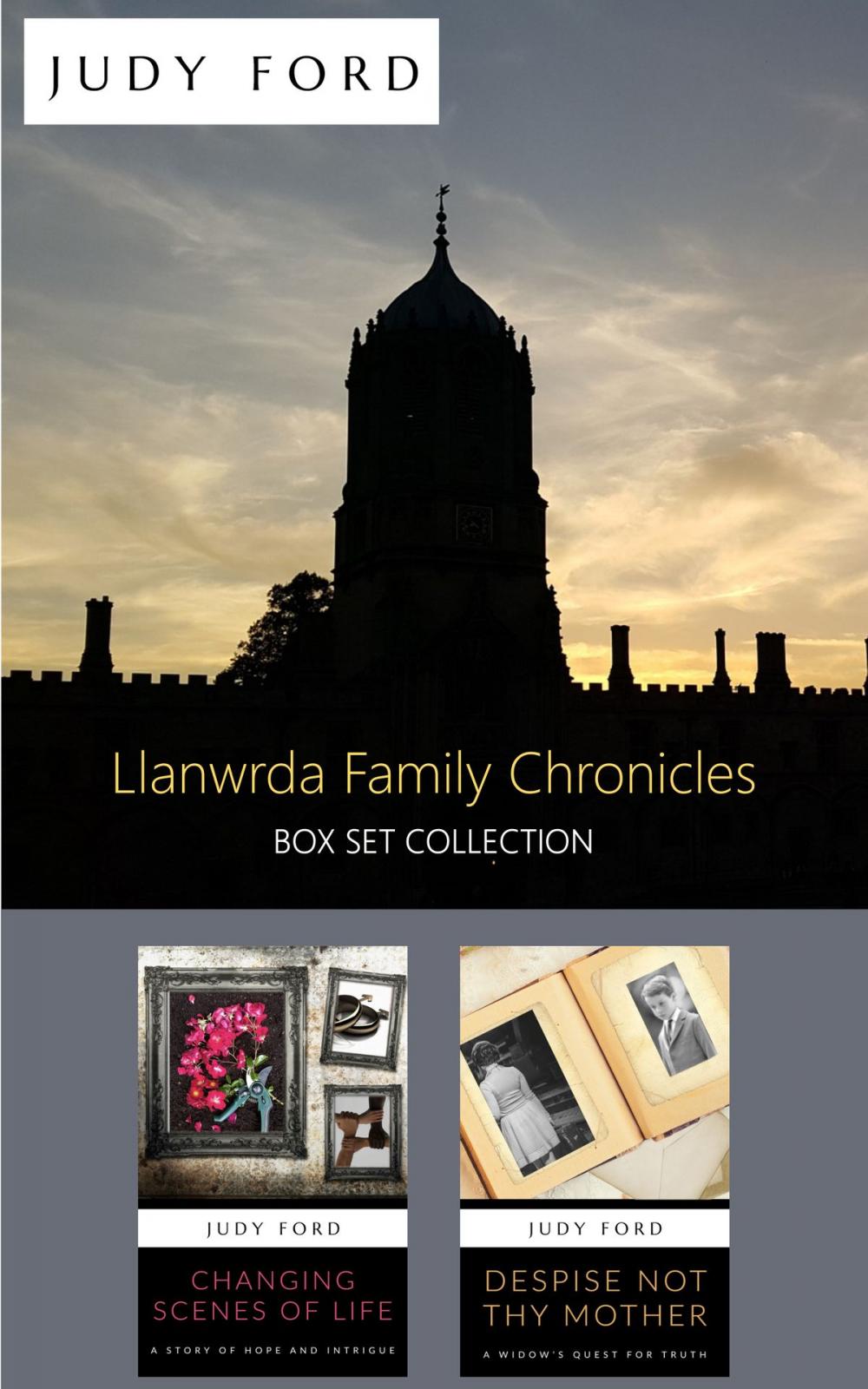 Big bigCover of The Llanwrda Family Chronicles