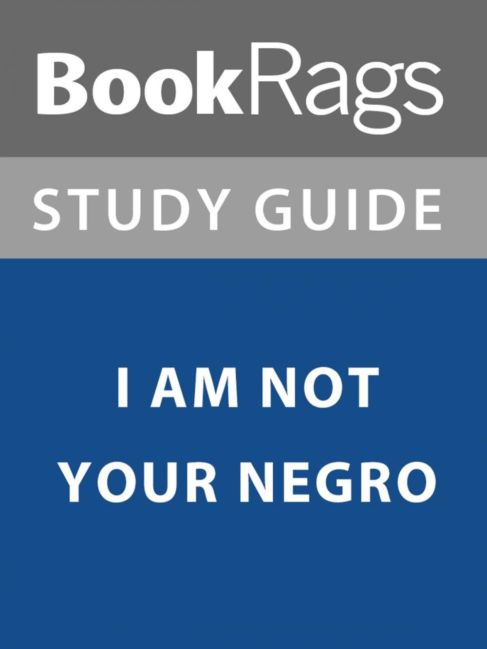 Big bigCover of Summary & Study Guide: I Am Not Your Negro