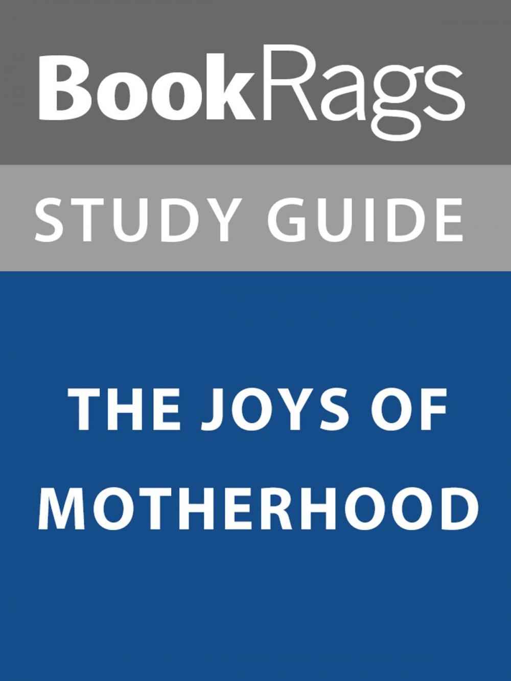 Big bigCover of Summary & Study Guide: The Joys of Motherhood