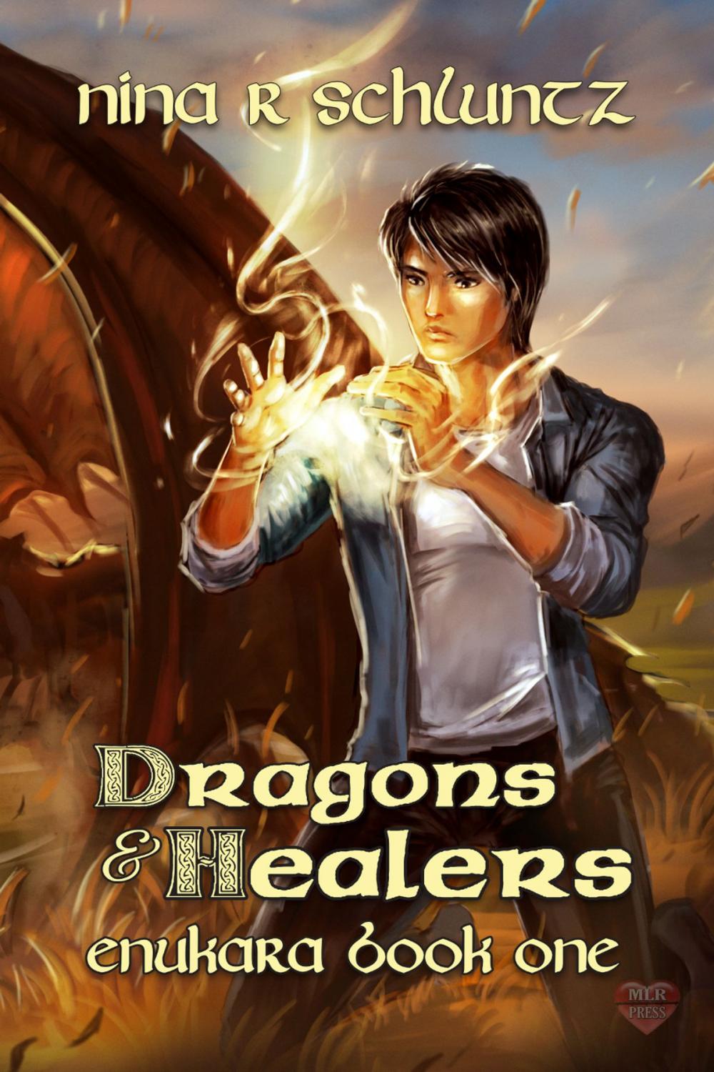 Big bigCover of Dragons and Healers