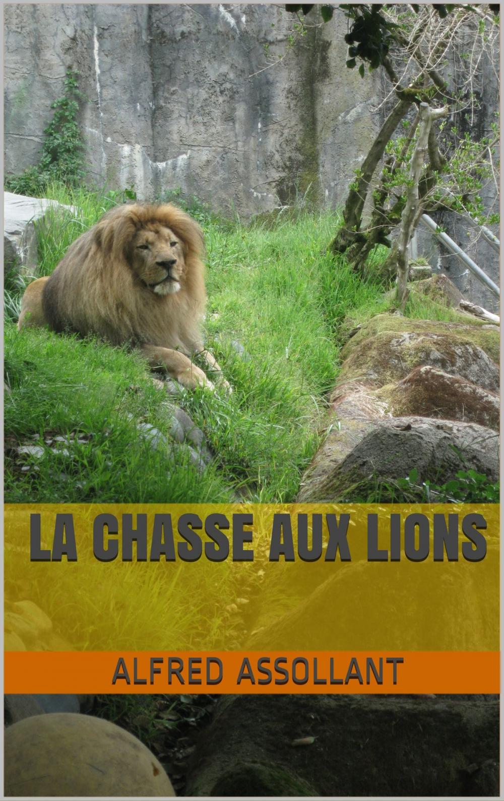 Big bigCover of la chasse aux lions