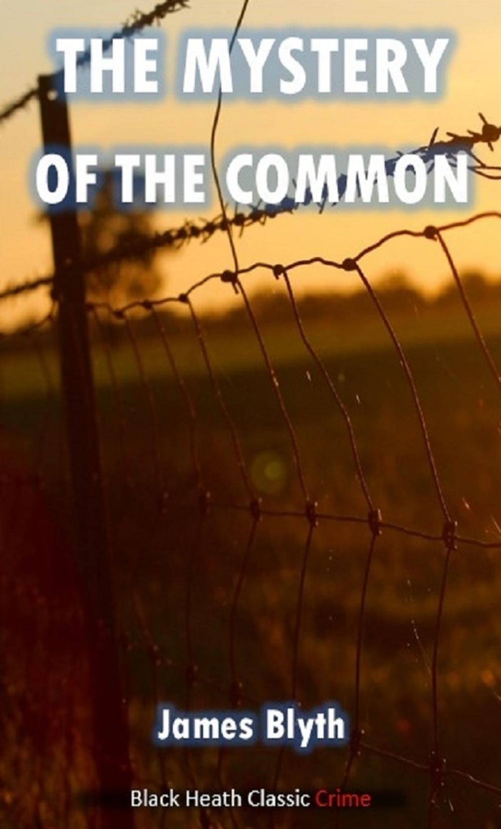 Big bigCover of The Mystery of the Common