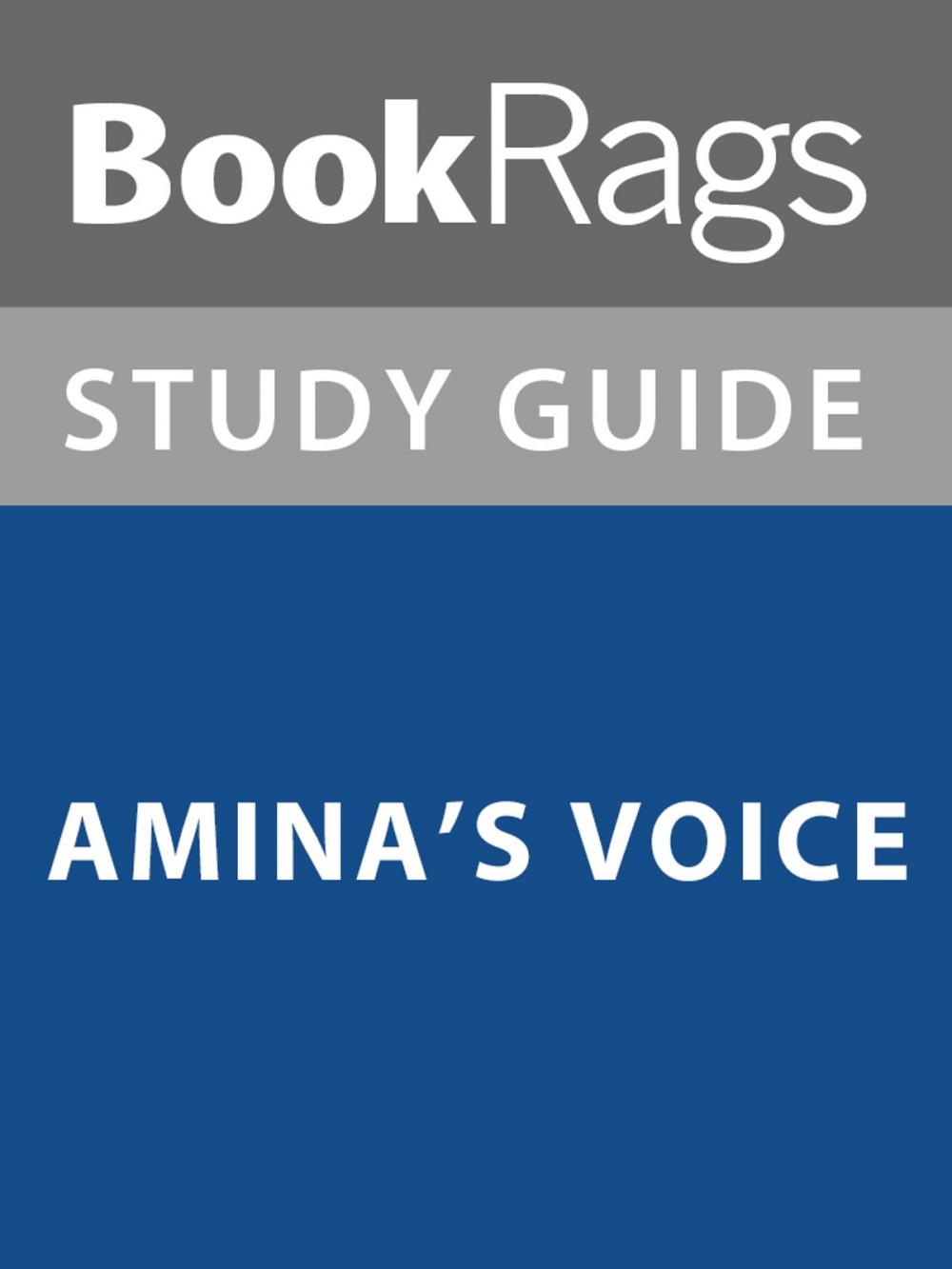 Big bigCover of Summary & Study Guide: Amina's Voice