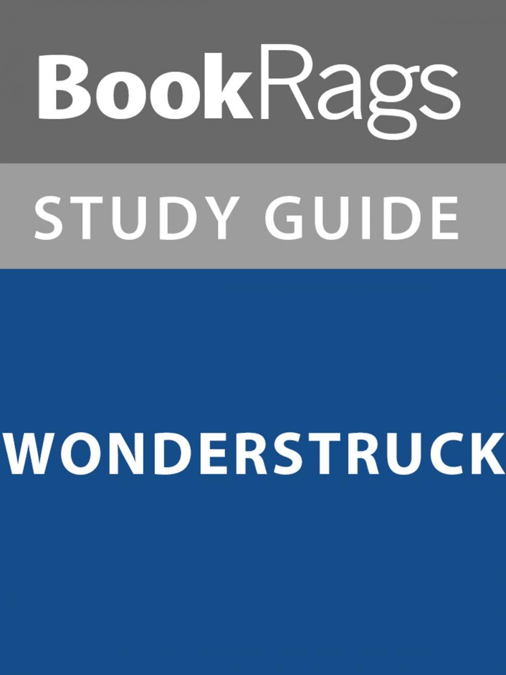 Big bigCover of Summary & Study Guide: Wonderstruck