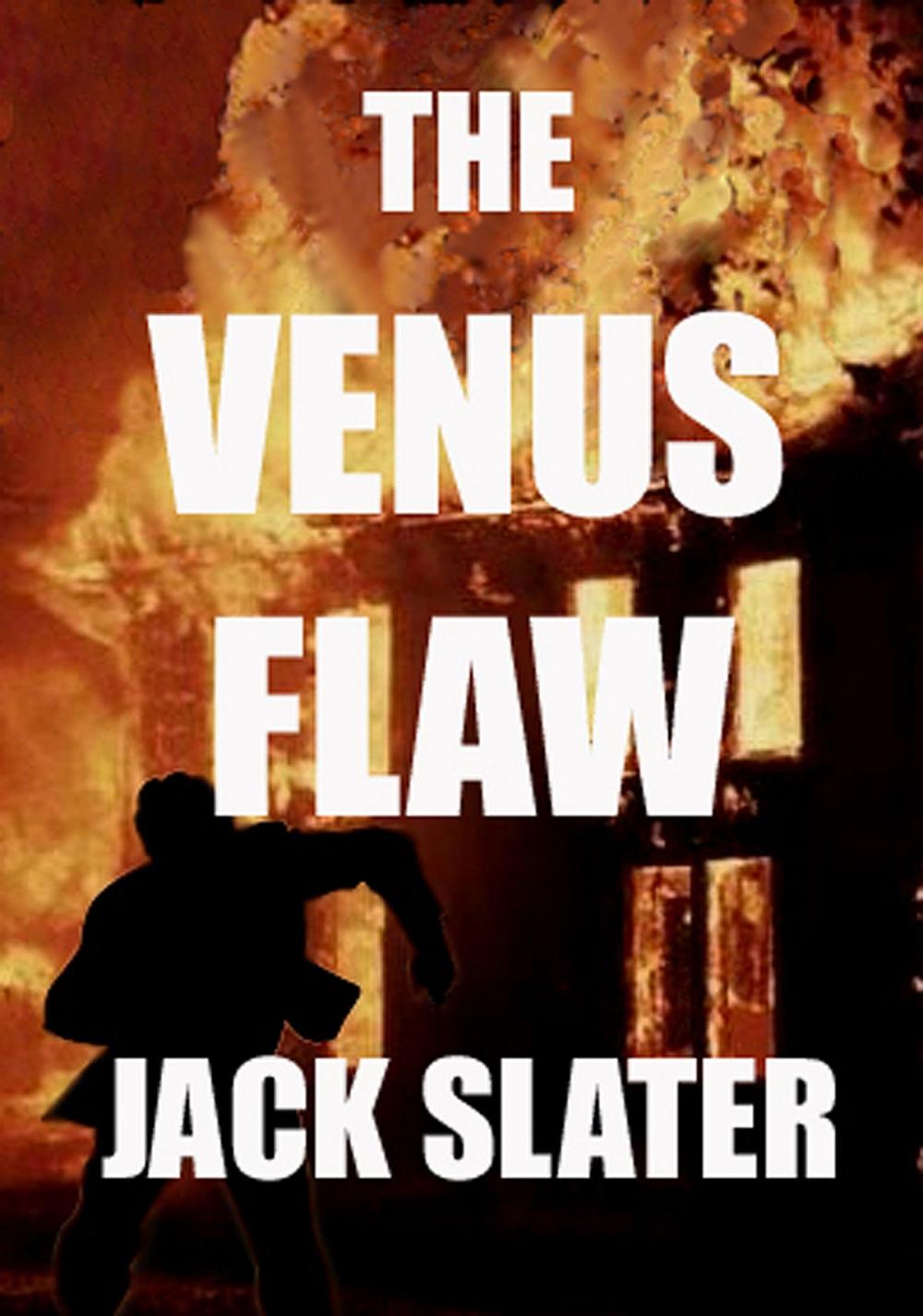 Big bigCover of The Venus Flaw