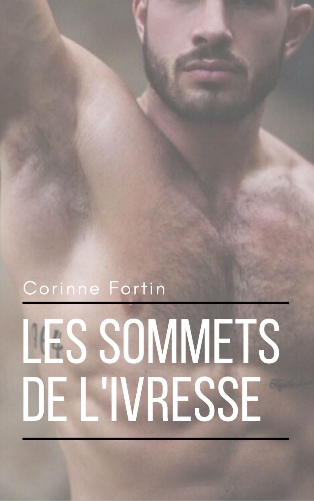 Big bigCover of Les sommets de l'ivresse