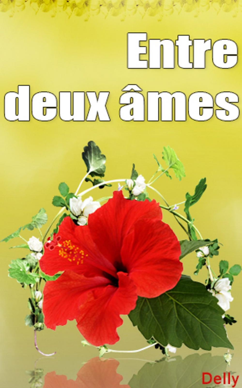 Big bigCover of Entre deux âmes