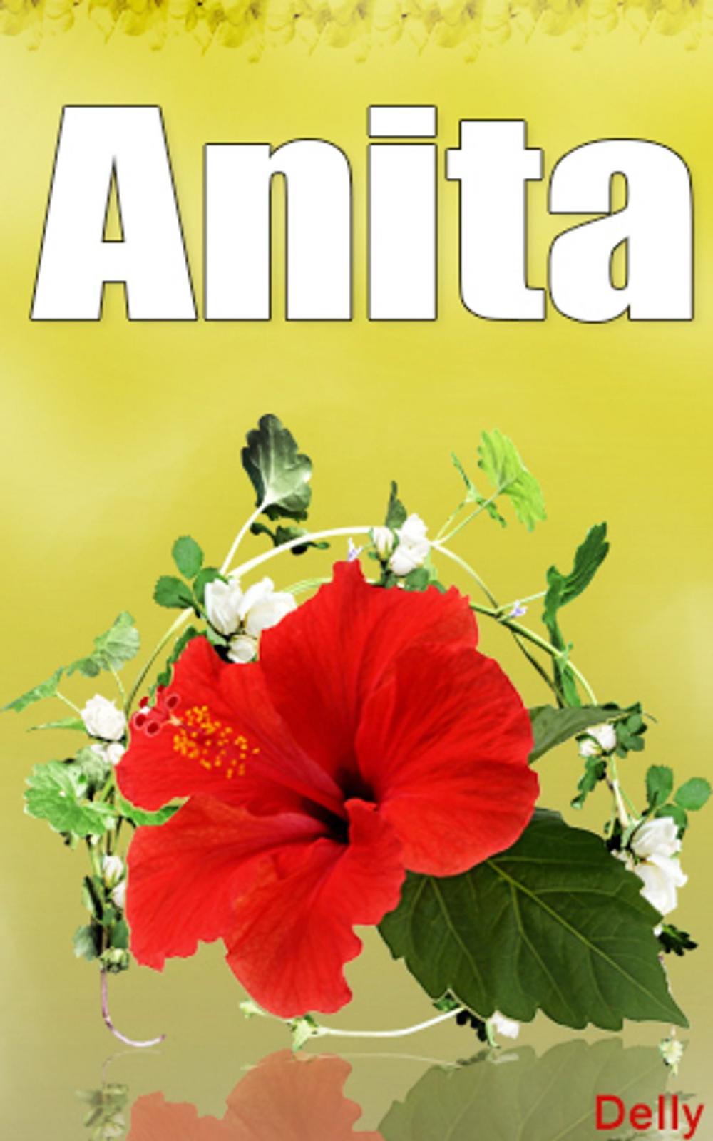 Big bigCover of Anita