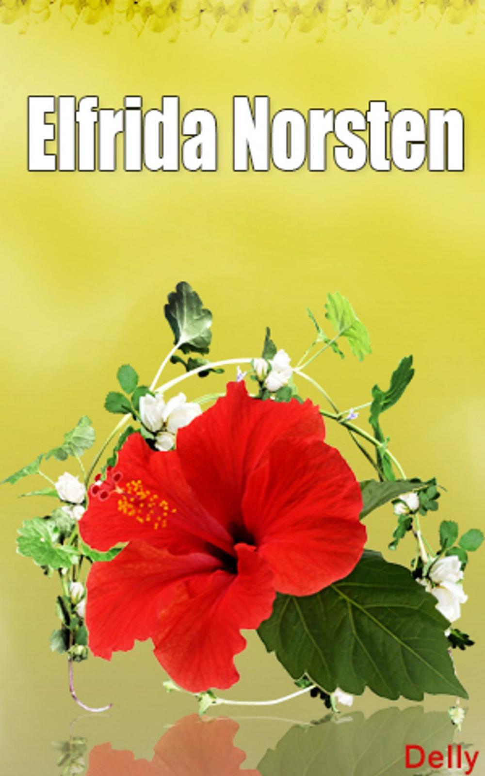 Big bigCover of Elfrida Norsten