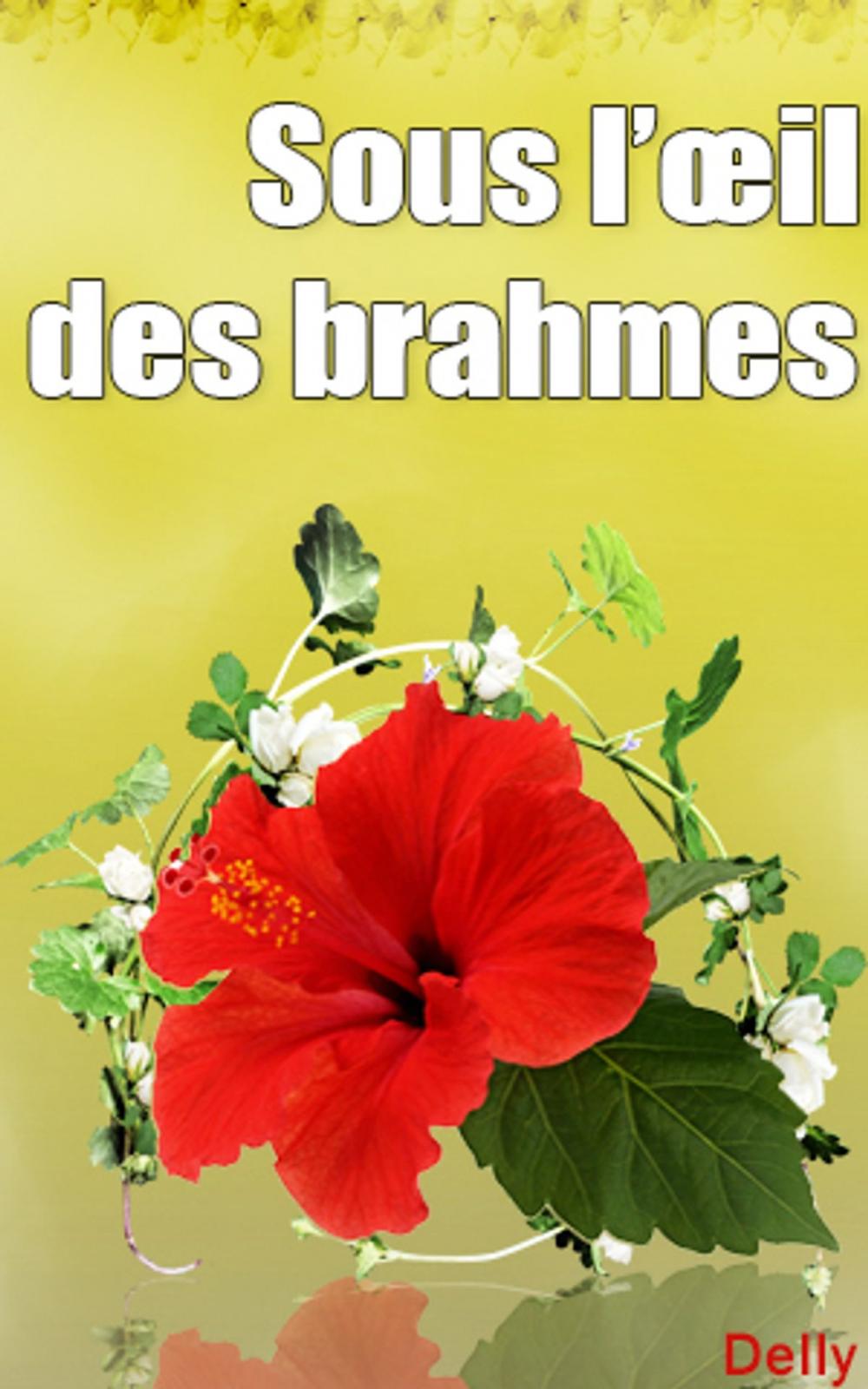 Big bigCover of Sous l’œil des brahmes