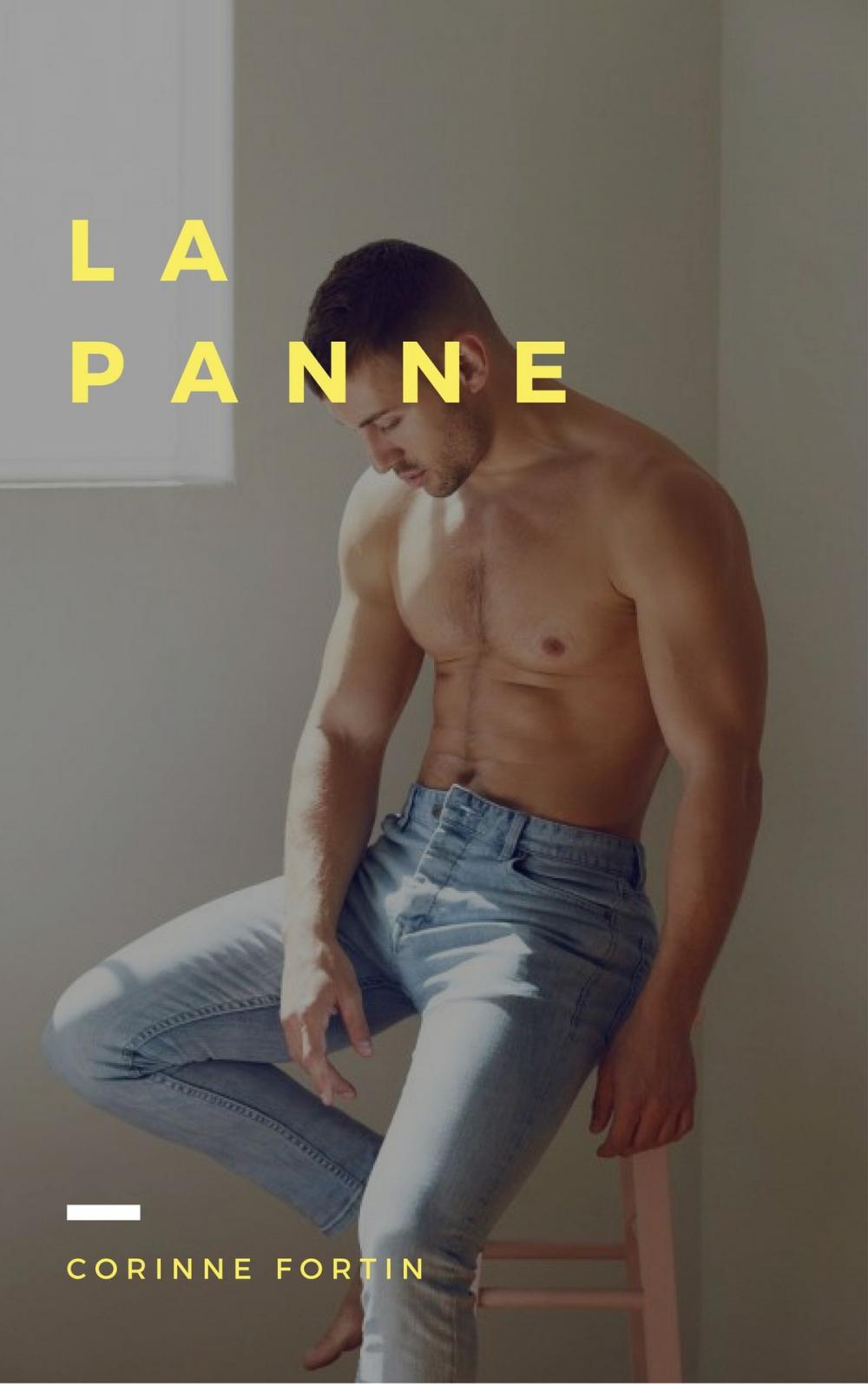 Big bigCover of La panne