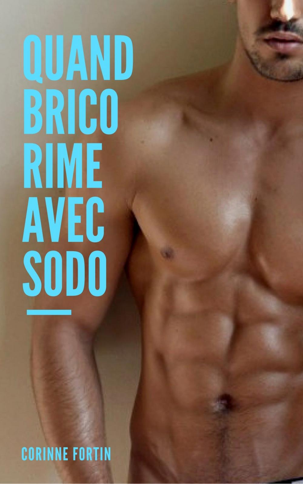 Big bigCover of Quand brico rime avec sodo