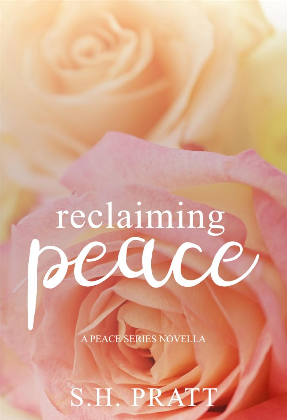 Big bigCover of Reclaiming Peace