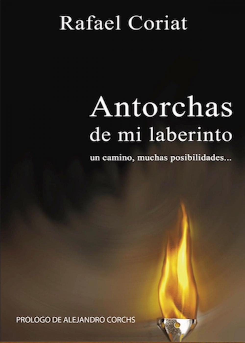 Big bigCover of Antorchas de mi Laberinto