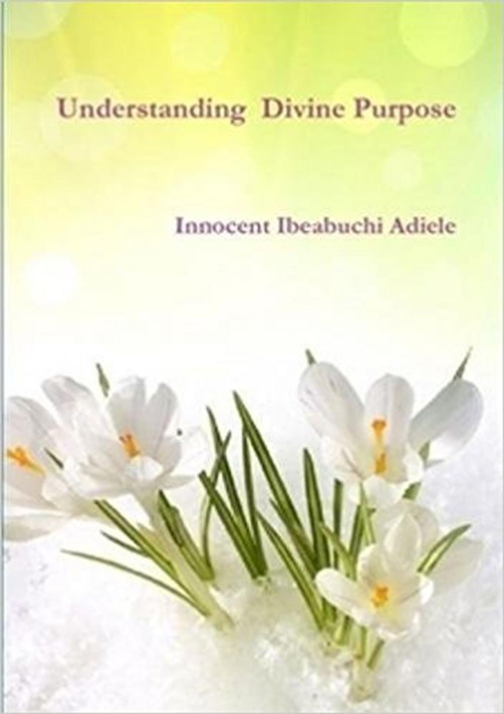 Big bigCover of Understanding Divine Purpose