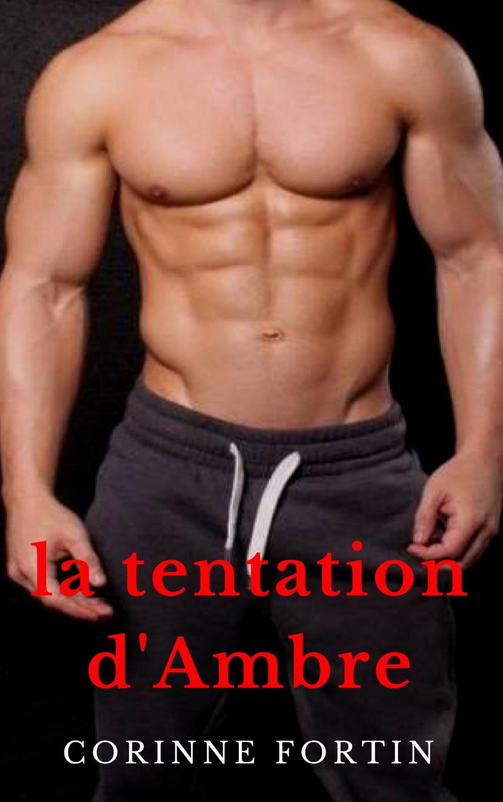 Big bigCover of La tentation d'Ambre