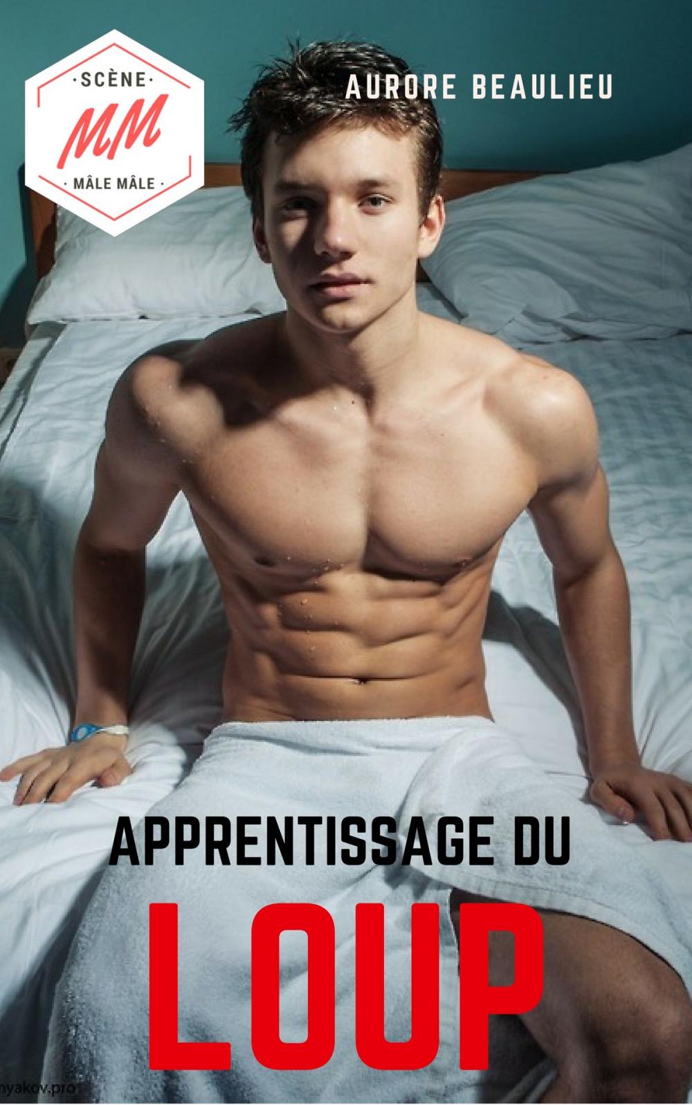 Big bigCover of Apprentissage du loup