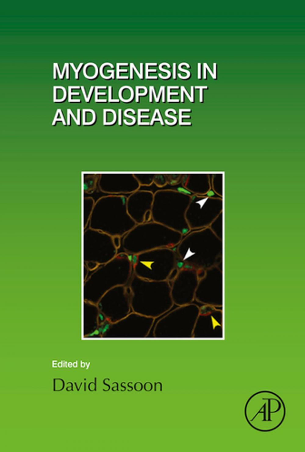 Big bigCover of Myogenesis in Development and Disease