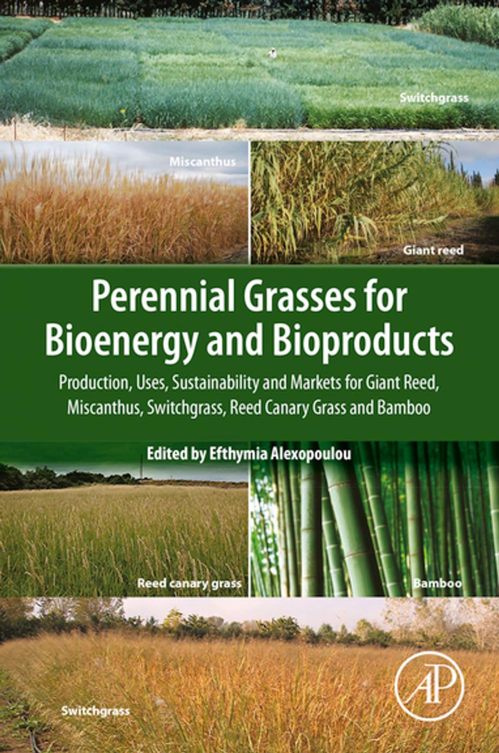 Big bigCover of Perennial Grasses for Bioenergy and Bioproducts