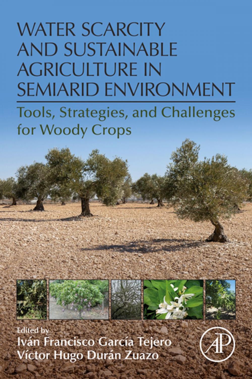 Big bigCover of Water Scarcity and Sustainable Agriculture in Semiarid Environment