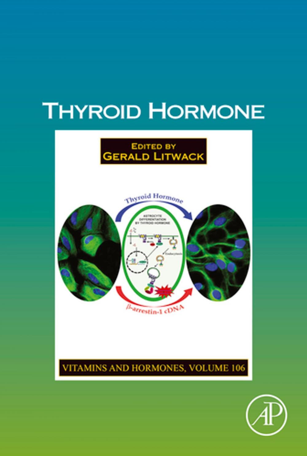 Big bigCover of Thyroid Hormone