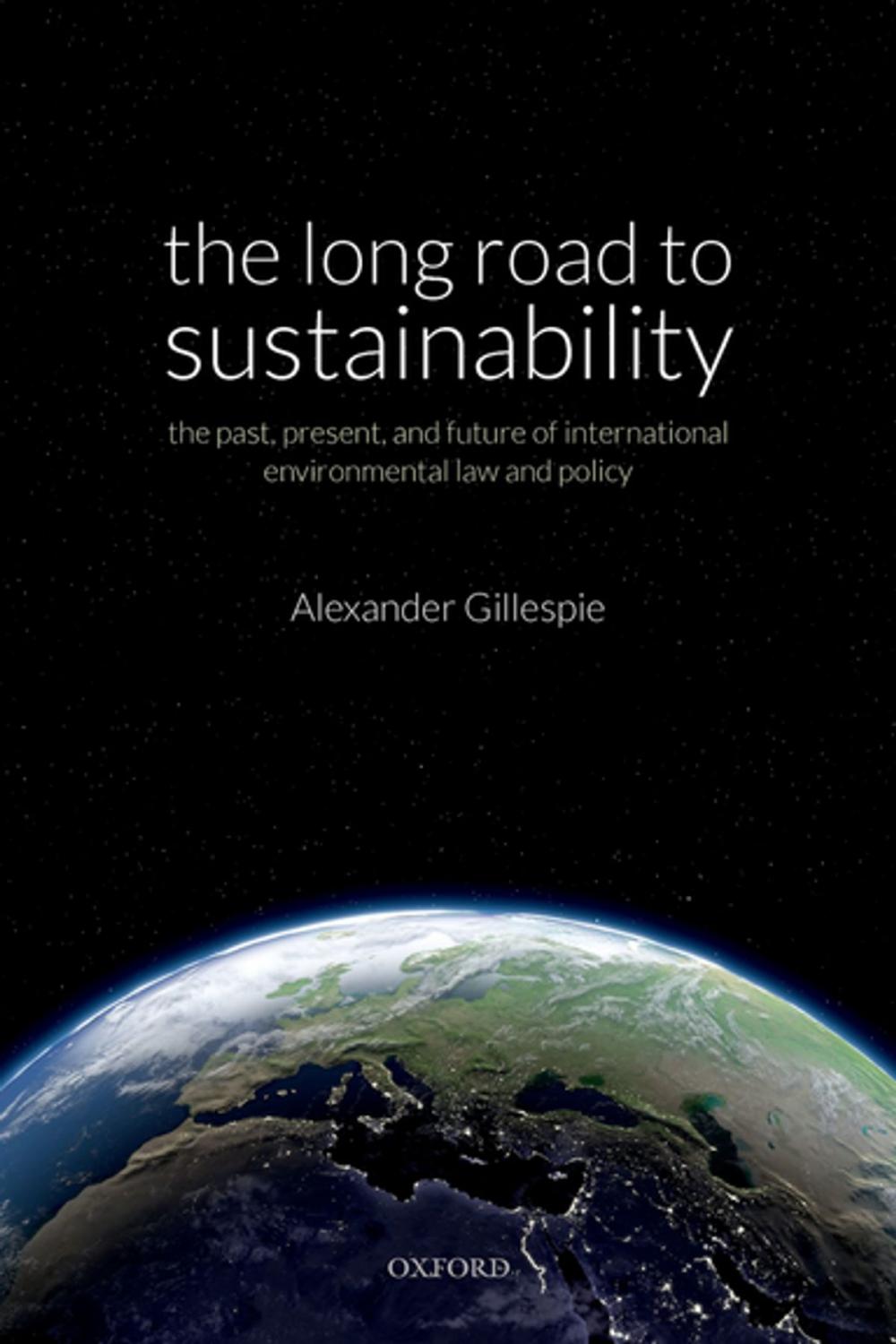 Big bigCover of The Long Road to Sustainability