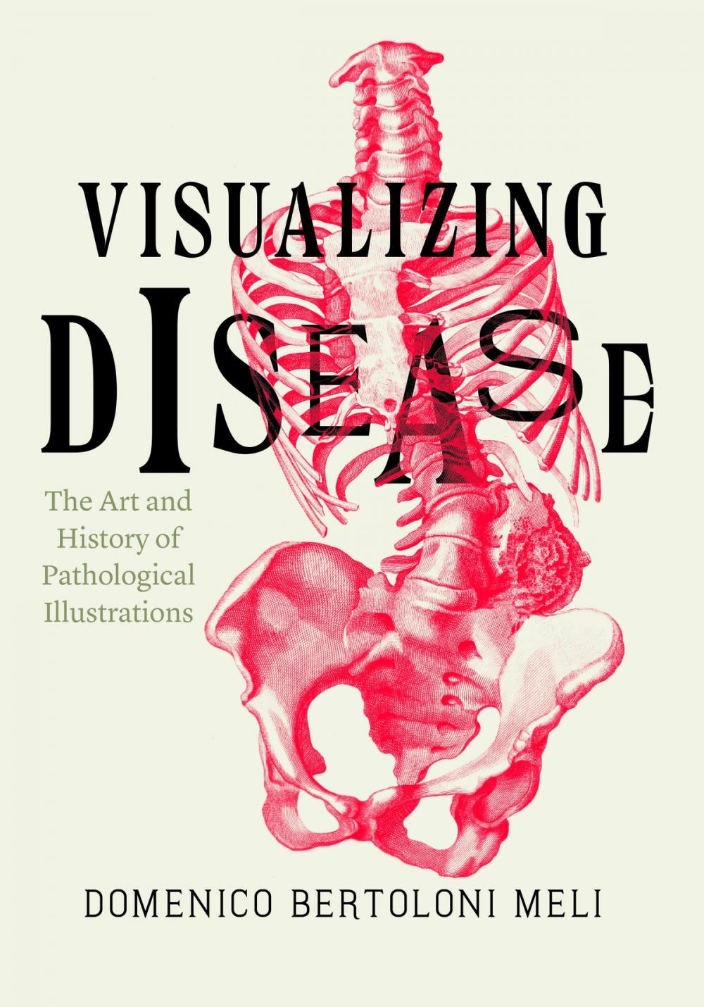 Big bigCover of Visualizing Disease