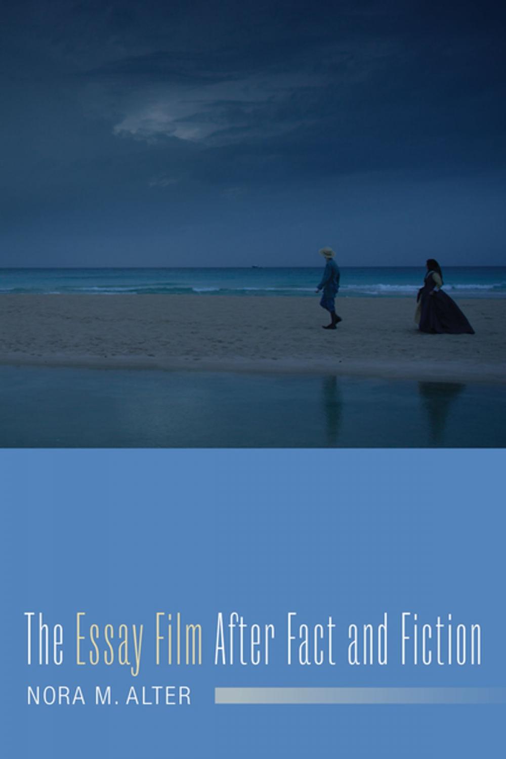 Big bigCover of The Essay Film After Fact and Fiction