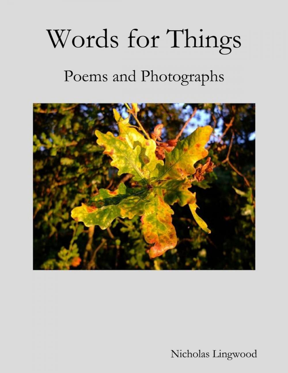 Big bigCover of Words for Things: Poems and Photographs