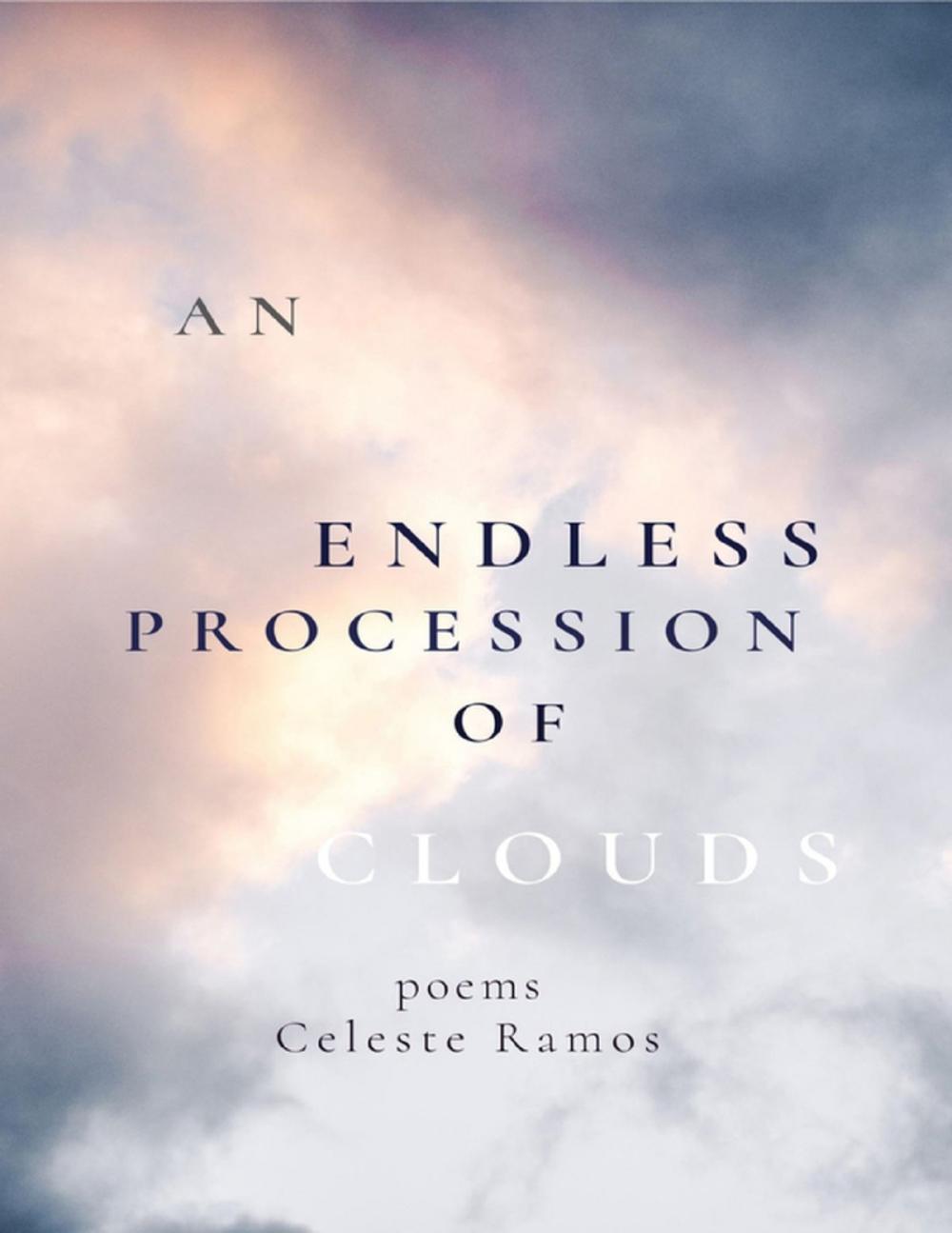 Big bigCover of An Endless Procession of Clouds