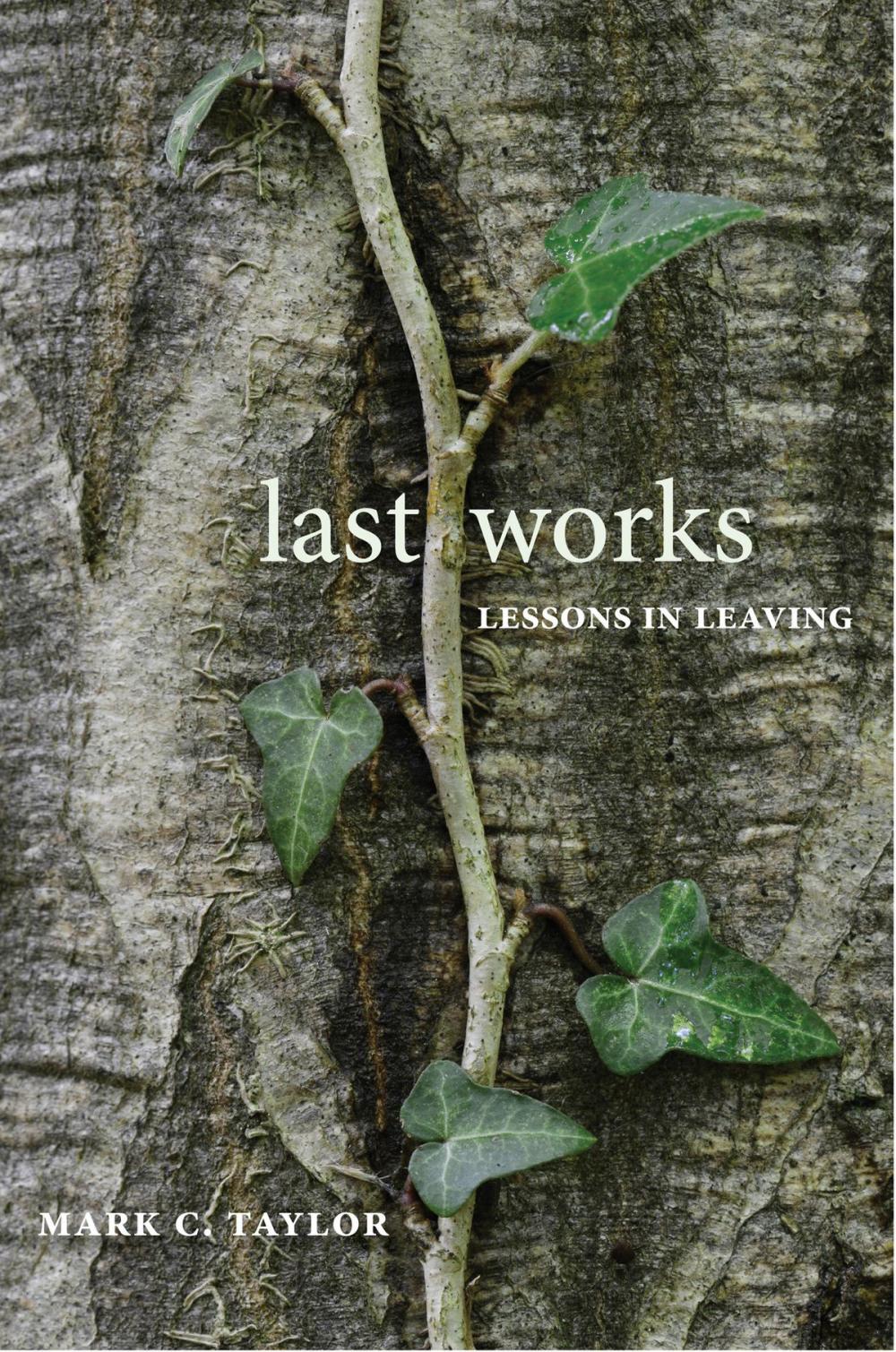 Big bigCover of Last Works